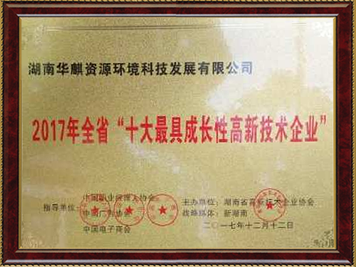 十大最具成长性高新技术企业