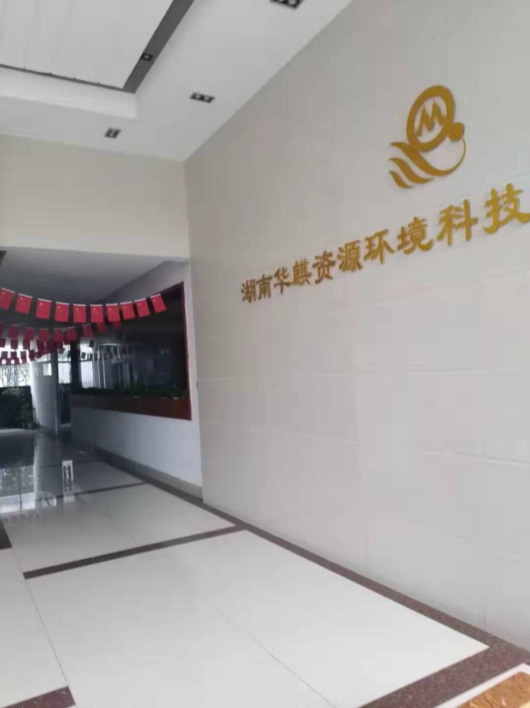 湖南华麒资源环境科技发展有限公司,矿物加工,铅锌选矿,选矿药剂,废水治理,无石灰选矿,矿山废水,低碱度浮选