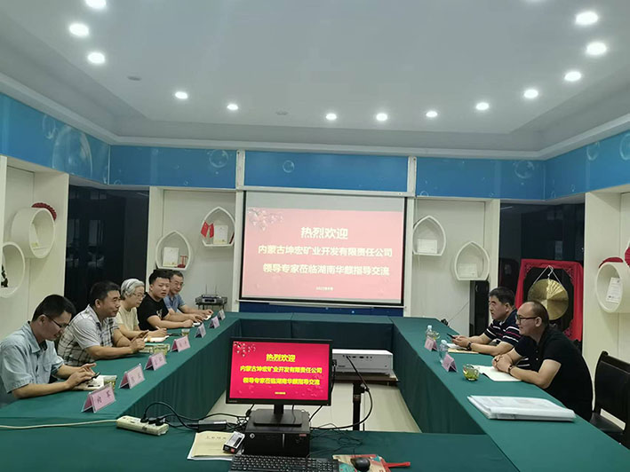 湖南华麒资源环境科技发展有限公司,矿物加工,铅锌选矿,选矿药剂,废水治理,无石灰选矿,矿山废水,低碱度浮选